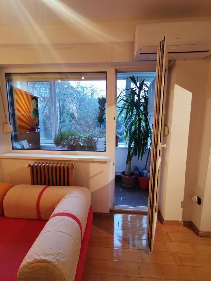 Comfy & Pleasant Apartment 10 Min Walk To Downtown Temesvár Kültér fotó