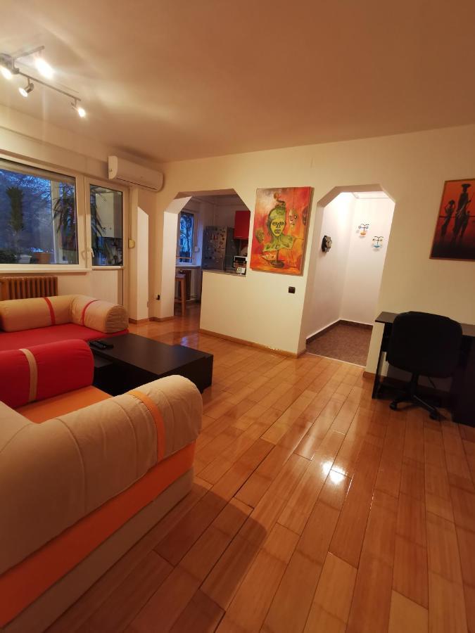 Comfy & Pleasant Apartment 10 Min Walk To Downtown Temesvár Kültér fotó