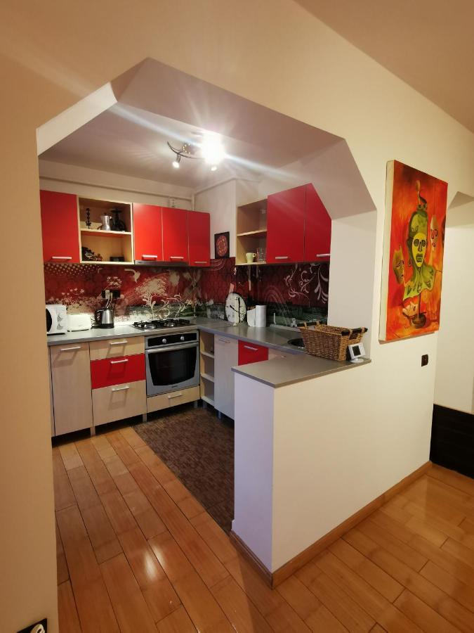 Comfy & Pleasant Apartment 10 Min Walk To Downtown Temesvár Kültér fotó