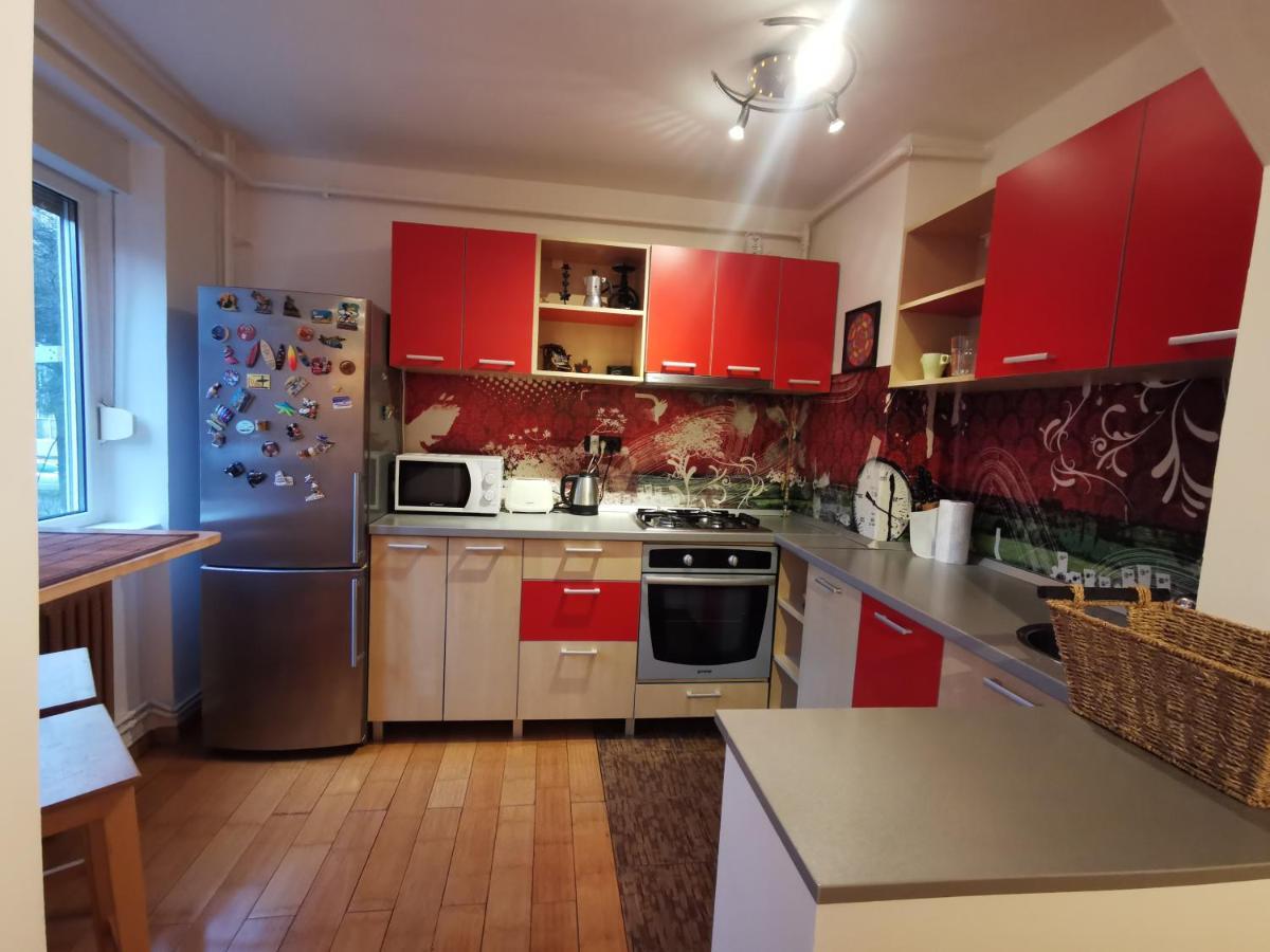 Comfy & Pleasant Apartment 10 Min Walk To Downtown Temesvár Kültér fotó