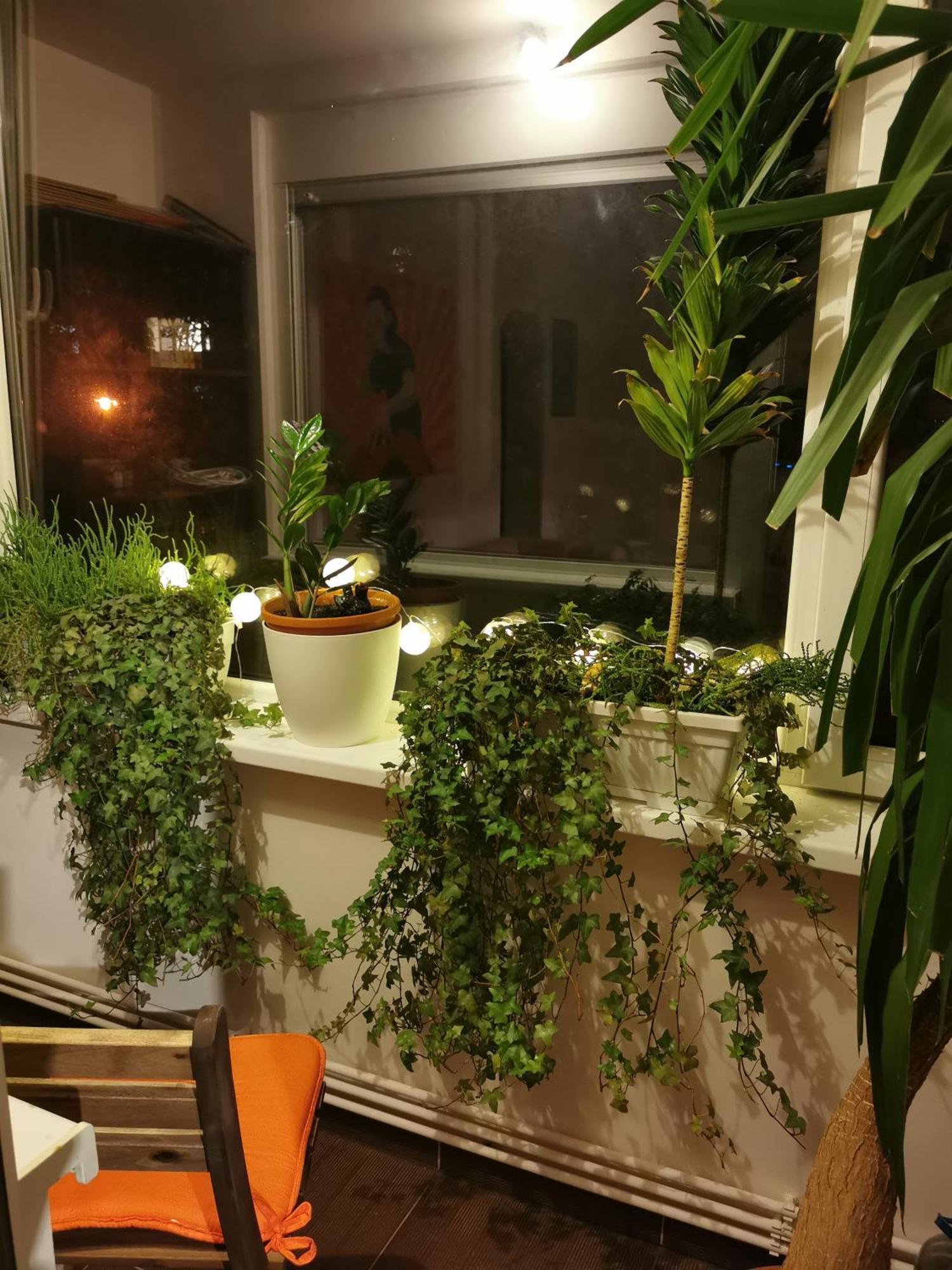 Comfy & Pleasant Apartment 10 Min Walk To Downtown Temesvár Kültér fotó