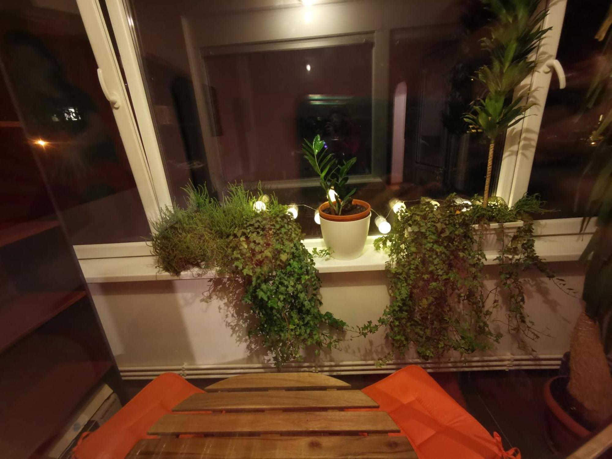 Comfy & Pleasant Apartment 10 Min Walk To Downtown Temesvár Kültér fotó