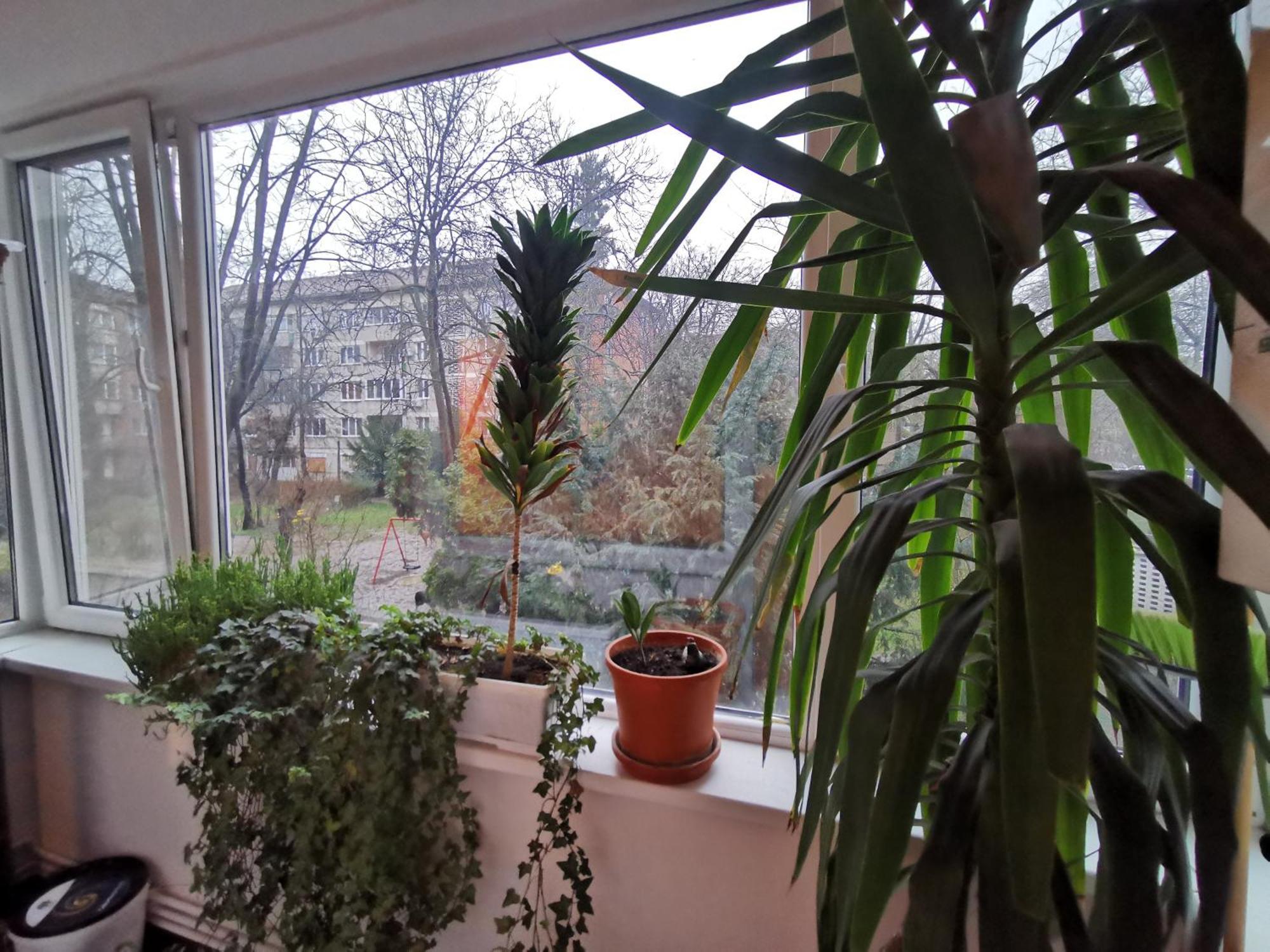 Comfy & Pleasant Apartment 10 Min Walk To Downtown Temesvár Kültér fotó