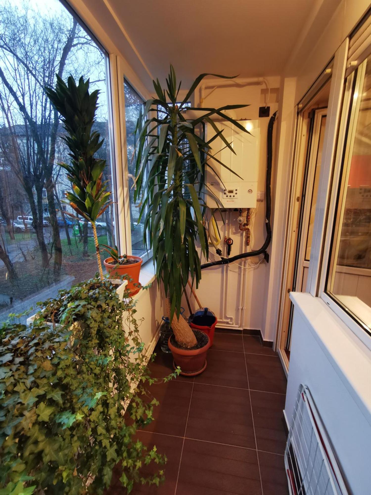 Comfy & Pleasant Apartment 10 Min Walk To Downtown Temesvár Kültér fotó